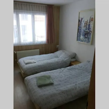 Central In Chalet Robinson Apartment *